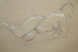Sam 7 by chick mcgeehan, Drawing, Charcoal on Paper