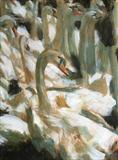 Swans by chick mcgeehan, Painting, Acrylic on paper